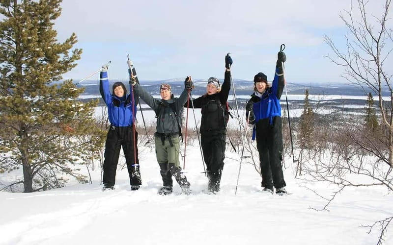 Kiruna: Snowshoe Trek with Warm Beverage and Sandwich - What the 3-hour experience covers, from meeting point to mountain break