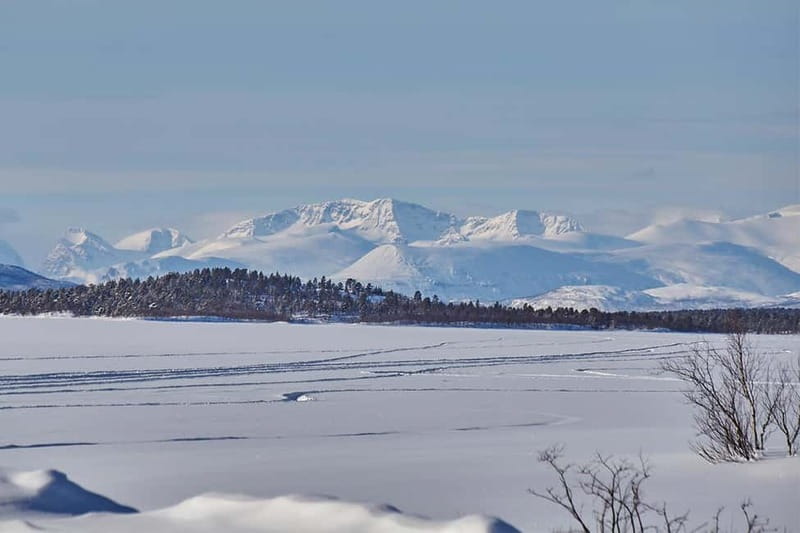 Kiruna: Wildlife and nature photography - Tele-lens camera lessons, plus phone tips that actually help