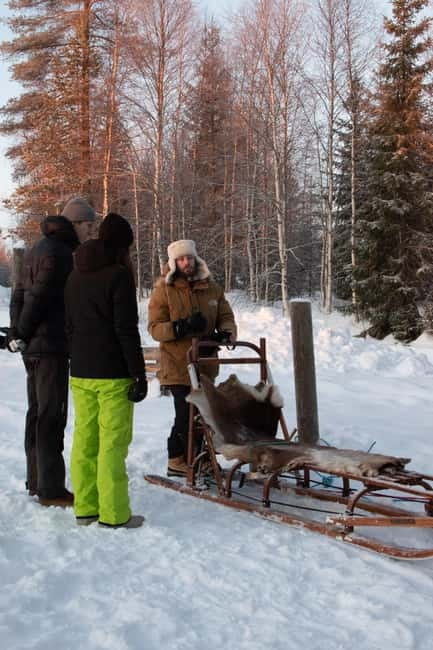 Luleå: Drive your own Husky team, 10km - Arriving at the Luleå Adventure cottage and getting ready for 10 km