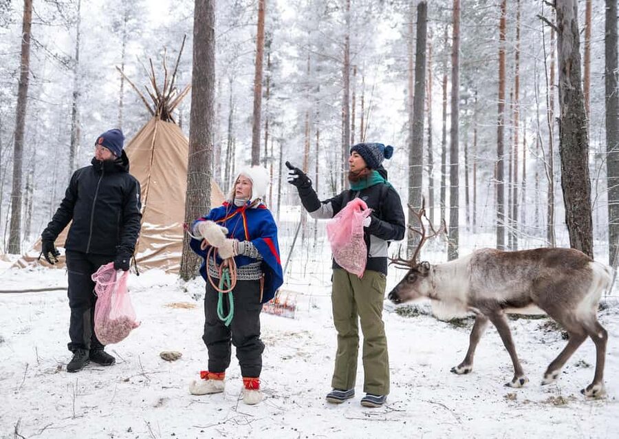 Luleå: Encounter with Reindeer Experience - Key highlights that make this tour worth your time