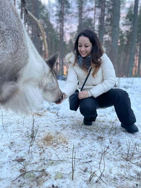 Luleå: Encounter with Reindeer Experience - Where the Luleå Reindeer Encounter Happens at First Camp