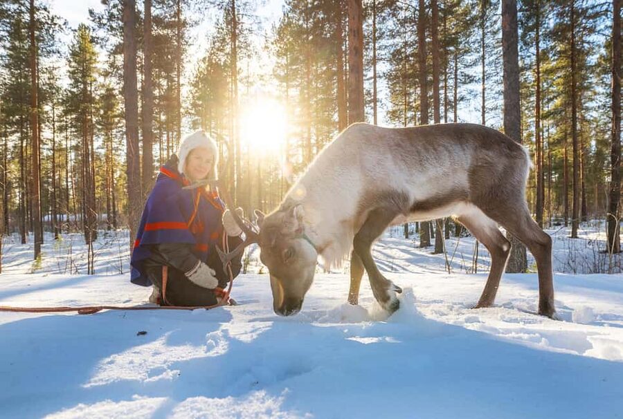 Luleå: Encounter with Reindeer Experience - The Sami lávvu warmth and lingonberry juice break