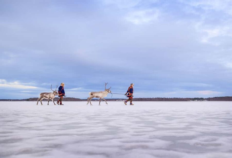 Luleå: Meet the Reindeer, Sámi Flavors & Stories by the Fire - FAQ
