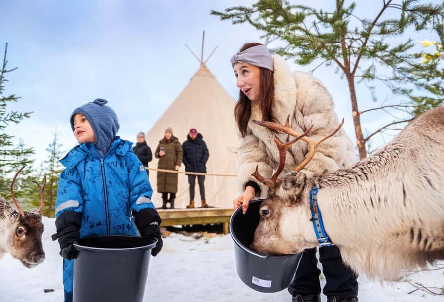 Luleå: Meet the Reindeer, Sámi Flavors & Stories by the Fire - Warm lavvu food by the fire, mállás plus local fika