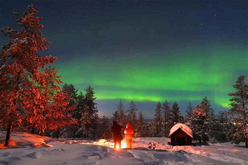 Luleå: Northern Lights Snowshoeing Tour - Key reasons this tour works in Luleå winter nights
