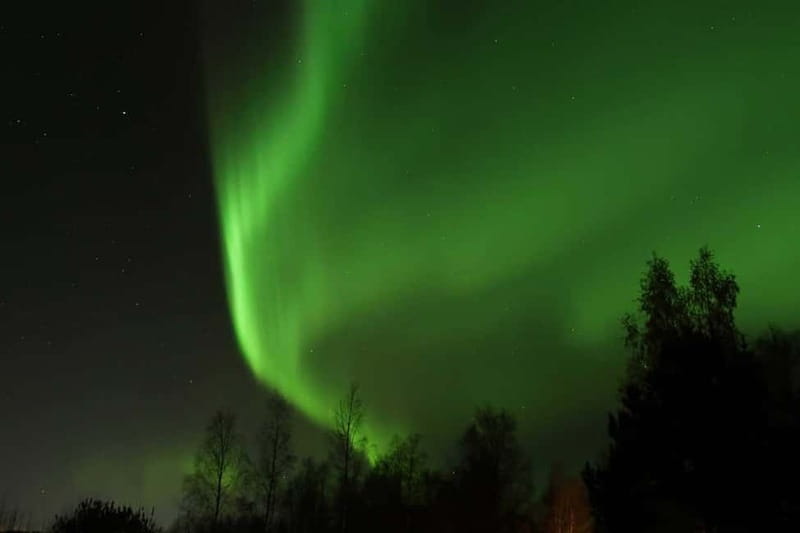 Luleå: Northern Lights Snowshoeing Tour - Northern Lights snowshoeing: why this is a smart Luleå plan