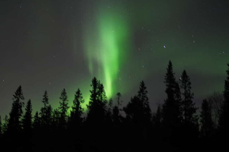 Luleå: Northern Lights Snowshoeing Tour - Gear and warmth: what’s included, and why it changes the whole trip