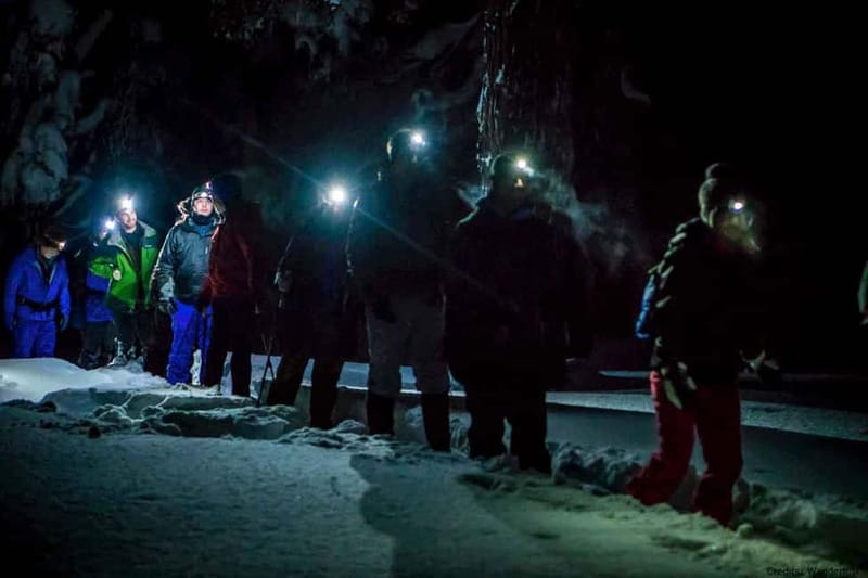 Luleå: Northern Lights Snowshoeing Tour - Who this tour suits best in Luleå (and who should skip it)