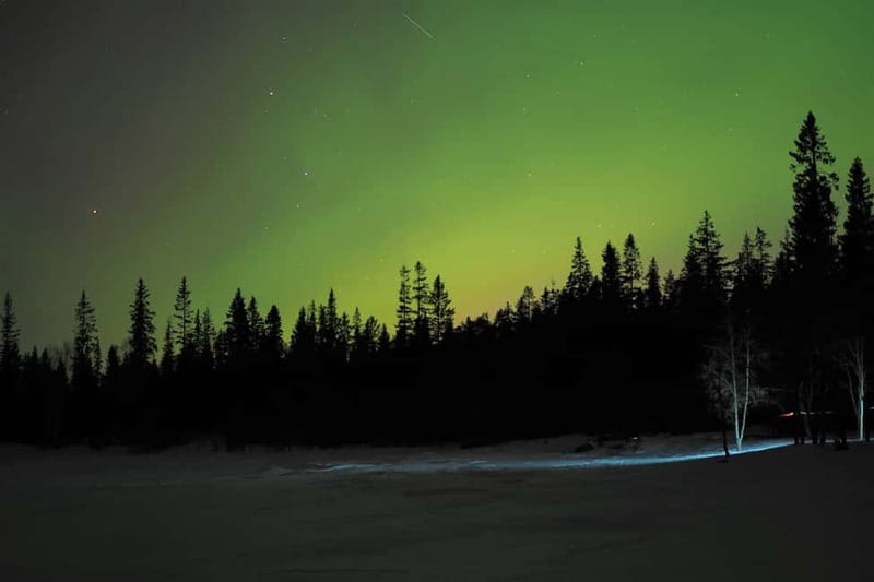 Luleå: Northern Lights Snowshoeing Tour - Getting the most out of it: what to wear and how to show up