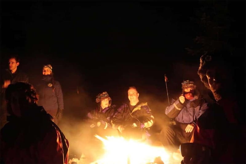 Luleå: Northern Lights Snowshoeing Tour - Should you book this Luleå Northern Lights snowshoe tour?