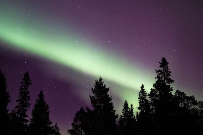Luleå: Northern Lights Snowshoeing Tour - The 3-hour flow: pickup, gear, forest walk, and the fire wait