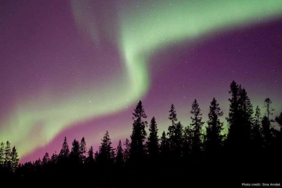 Luleå: Northern Lights Tour by Car with Swedish Treats - Key highlights worth prioritizing