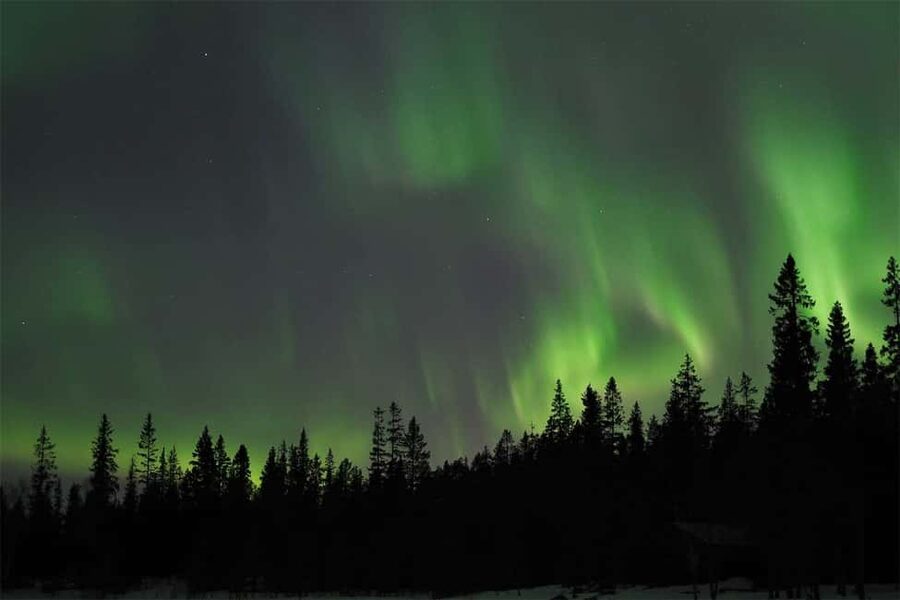 Luleå: Northern Lights Tour by Car with Swedish Treats - Starting With Hotel Pickup, Then Driving for Several Chances