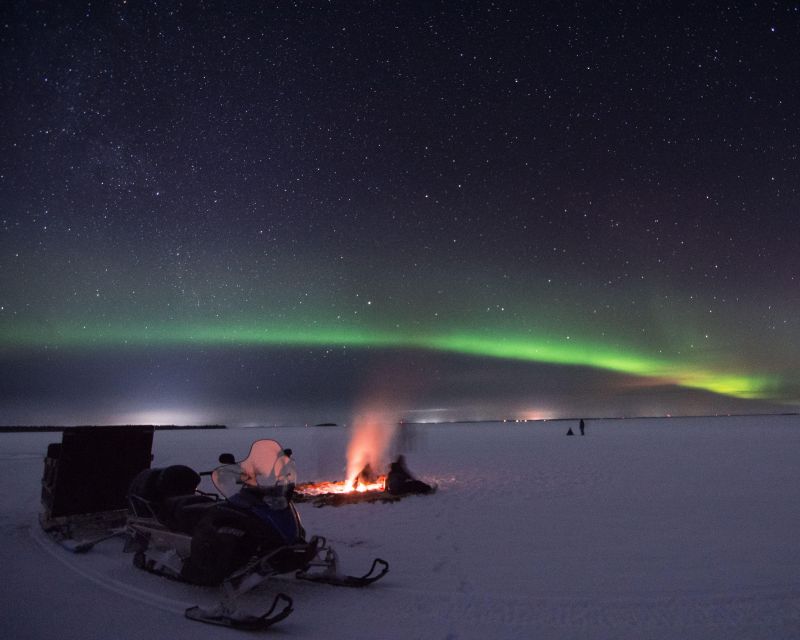 Luleå : Northern Lights Tour on a Snowmobile drawn Sled - Key Points That Matter Before You Go