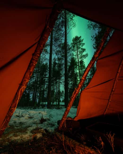 Luleå: Sami Culture, Reindeer, and Northern Lights Tour - Where Luleå’s winter night turns into culture and sky-watching