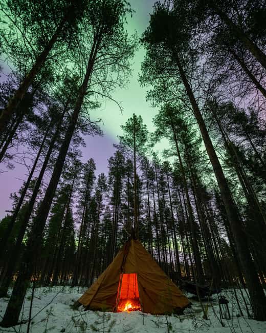 Luleå: Sami Culture, Reindeer, and Northern Lights Tour - First stop: reindeer time, feeding, and what to expect in the dark
