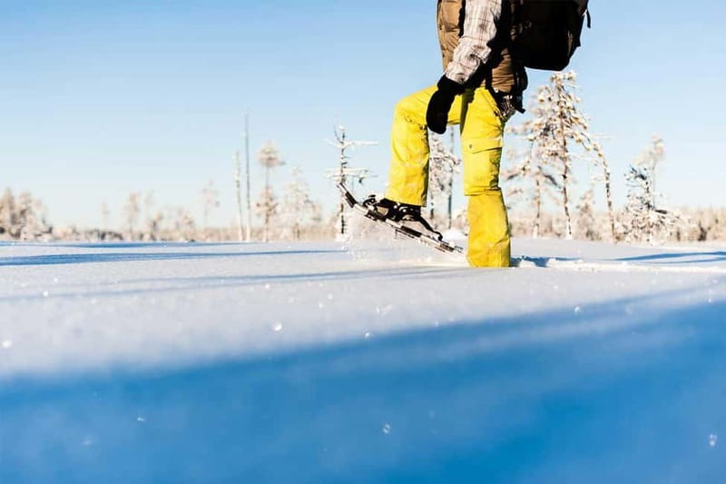 Luleå: snowshoeing in pristine nature with an expert guide! - Key things that make this snowshoe tour work