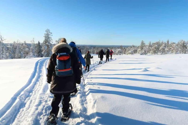 Luleå: snowshoeing in pristine nature with an expert guide! - Why Luleå snowshoeing feels different from a basic winter walk