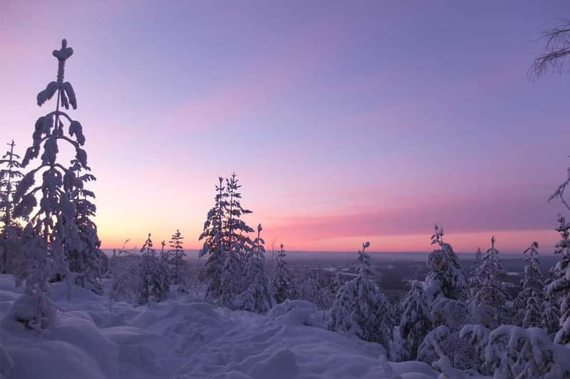 Luleå: snowshoeing in pristine nature with an expert guide! - Trail highlights: 140 meters above sea level and big quiet views