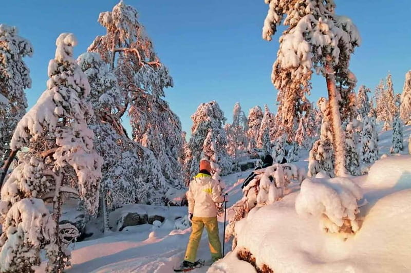 Luleå: snowshoeing in pristine nature with an expert guide! - The open-fire hot drinks break is the real memory maker