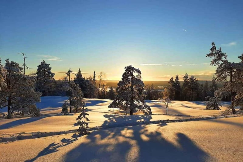 Luleå: snowshoeing in pristine nature with an expert guide! - Price and value: is $142 per person worth it?
