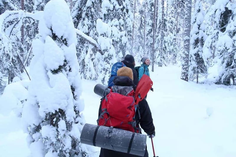 Luleå: snowshoeing in pristine nature with an expert guide! - Who this suits best, and who might want to skip it