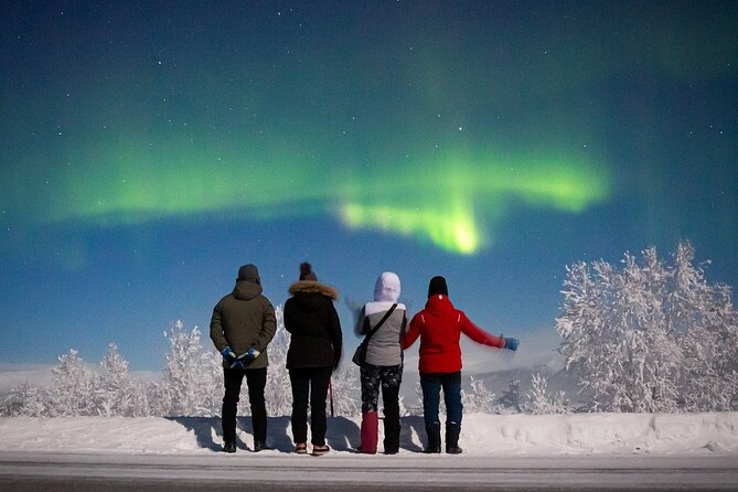 Magical Northern Lights Photography Tour Kiruna - Key Points Before You Go