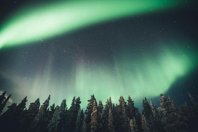 Magical Northern Lights Photography Tour Kiruna - Hot Drinks and Live Commentary: The Night Is Long
