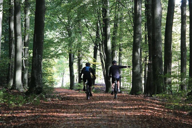 Malmo Bike Rental - Key Things I’d Tell a Friend Before You Rent
