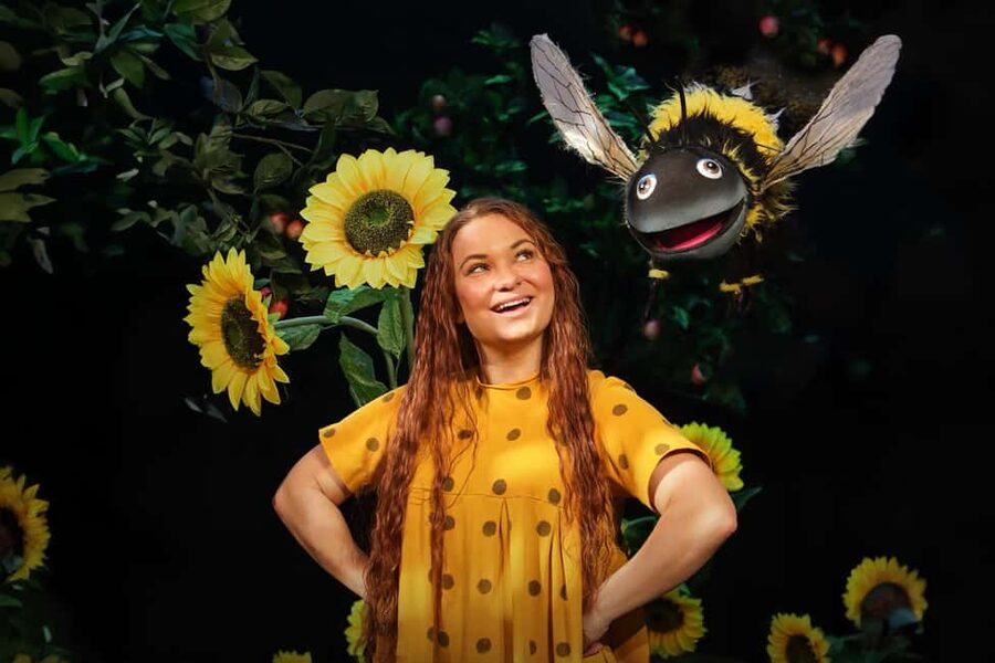 Malmö: Funnys Äventyr - Play Areas, Kids’ Theater & Carousel - Who should book this one-day Malmö stop?