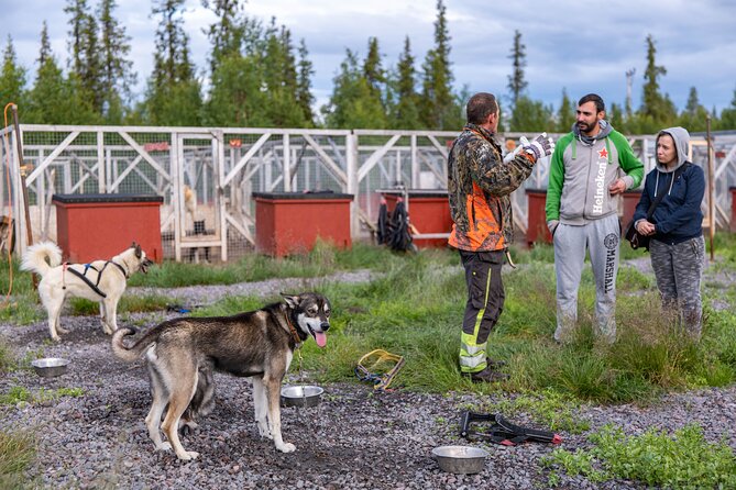 Meet 70 Huskies and Enjoy a short ATV Tour with the Huskies - Team Prep With 8 to 10 Dogs: Why This Part Sticks