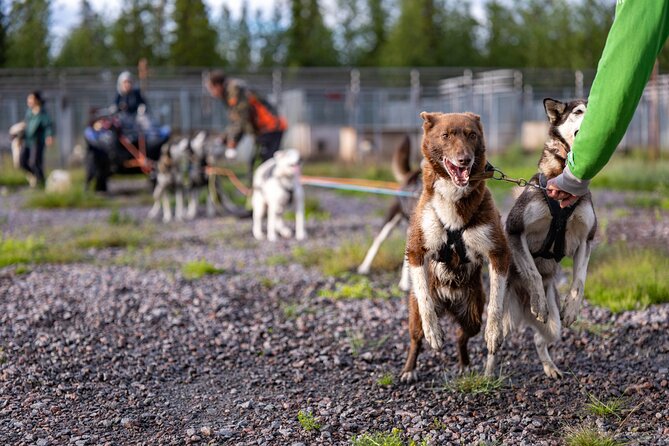 Meet 70 Huskies and Enjoy a short ATV Tour with the Huskies - Price and Value: Is 192.31 Worth It for 3 Hours?