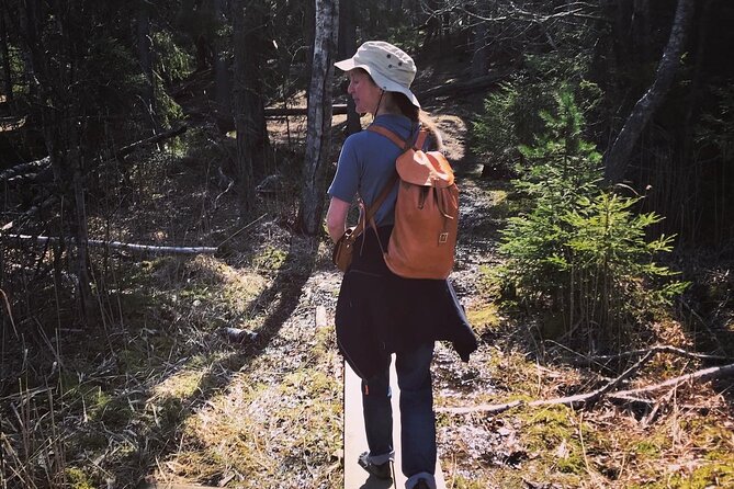 Midnight Sun and Campfire - National Park evening hike Stockholm - The 6:30 pm start and the easy 4 to 5 hour rhythm