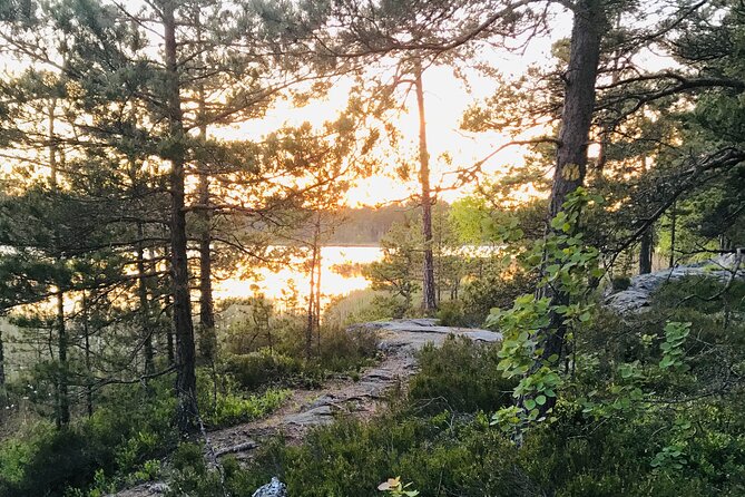 Midnight Sun and Campfire - National Park evening hike Stockholm - What you do on the trails: easy routes, real forest quiet