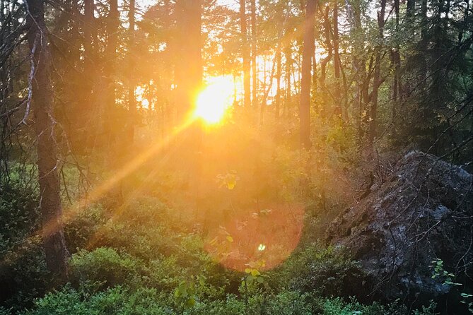 Midnight Sun and Campfire - National Park evening hike Stockholm - Swedish fika and the red log-houses stop