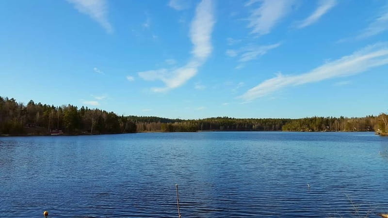 Nature Hike from Stockholm - Key Things to Know Before You Go