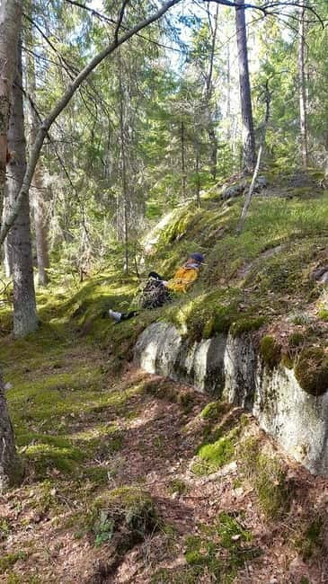 Nature Hike from Stockholm - Why This Stockholm County Hike Feels Worth the Time