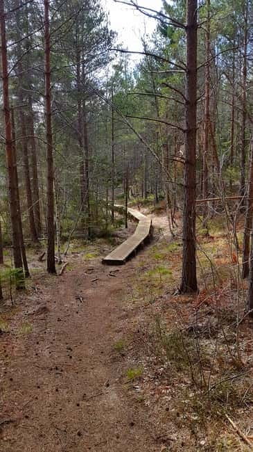 Nature Hike from Stockholm - When the Route Links Up With Sörmansleden and the Climb Gets Real