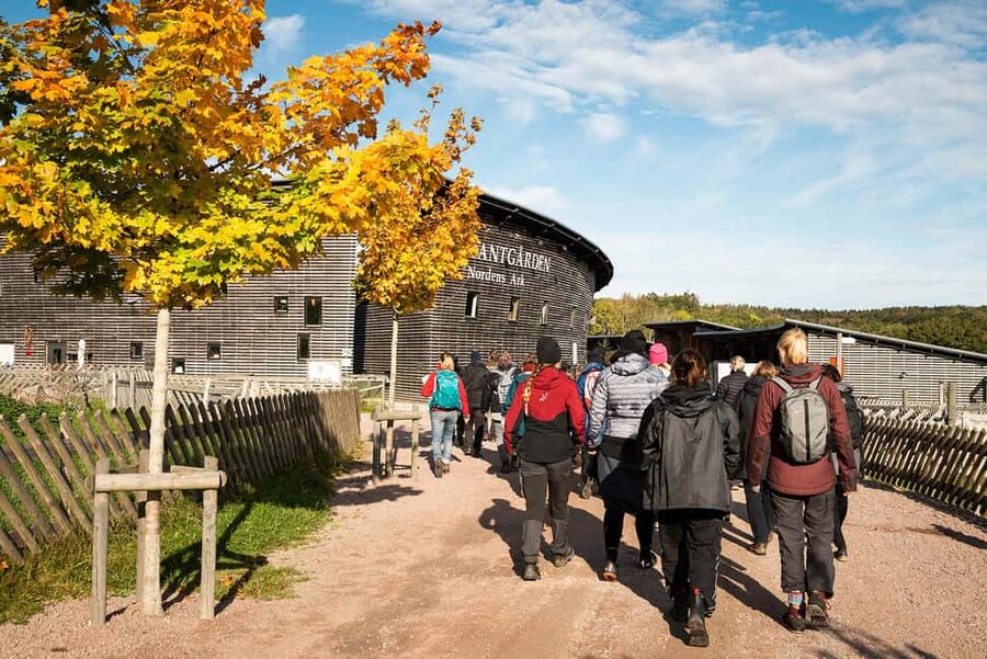 Nordens Ark Entry Ticket - Farm Area: A Calmer Change of Pace and a Different Kind of Animal Day