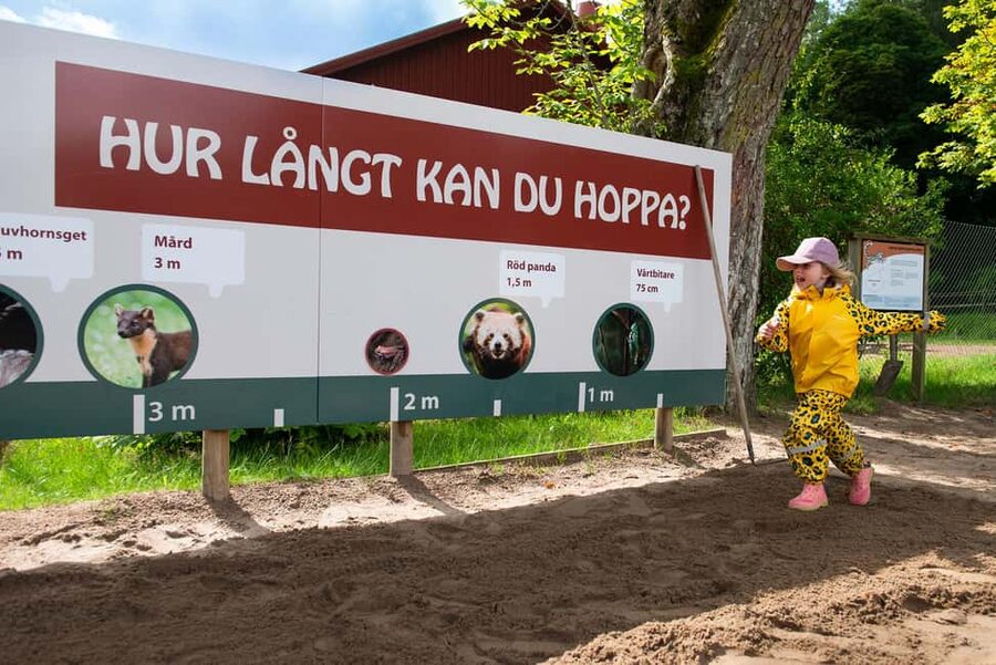 Nordens Ark Entry Ticket - Turtle Ark: A Focused Zone for Species Conservation