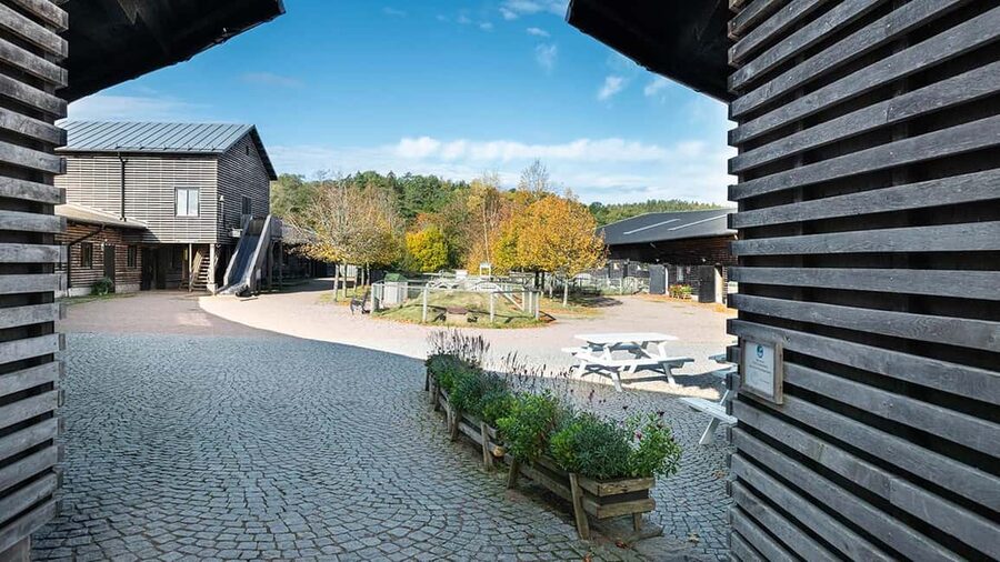Nordens Ark Entry Ticket - Bed and Breakfast, Café, and Experience Packages: Turning Admission into a Real Plan