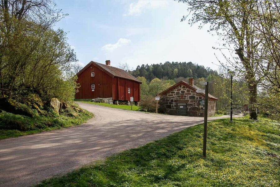 Nordens Ark Entry Ticket - When to Go in Summer, and Why Timing Changes What You See
