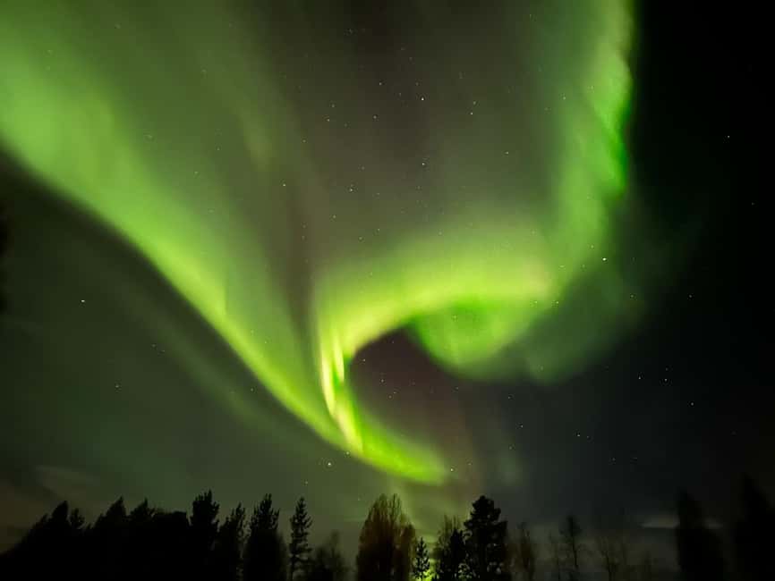 North, Dogs, Snowmobiles & Lights - Swedish Lapland, the practical way: dogs first, aurora second
