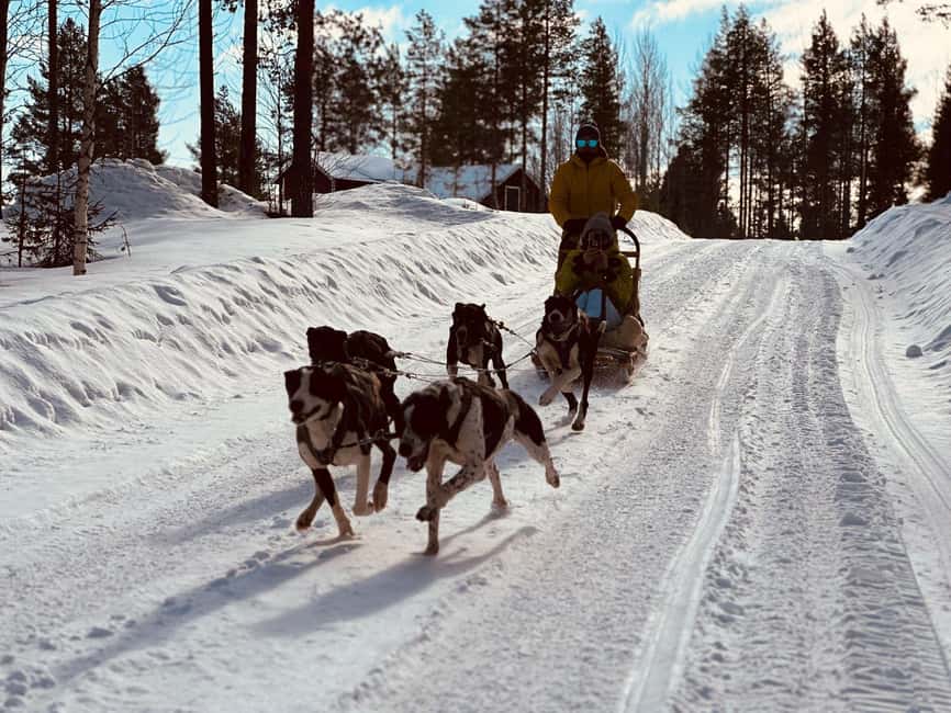 North, Dogs, Snowmobiles & Lights - The base time at their home: warm breaks, snacks, and optional ice fishing