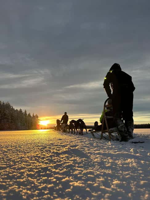 North, Dogs, Snowmobiles & Lights - Price and value at $383 per person for 10 hours