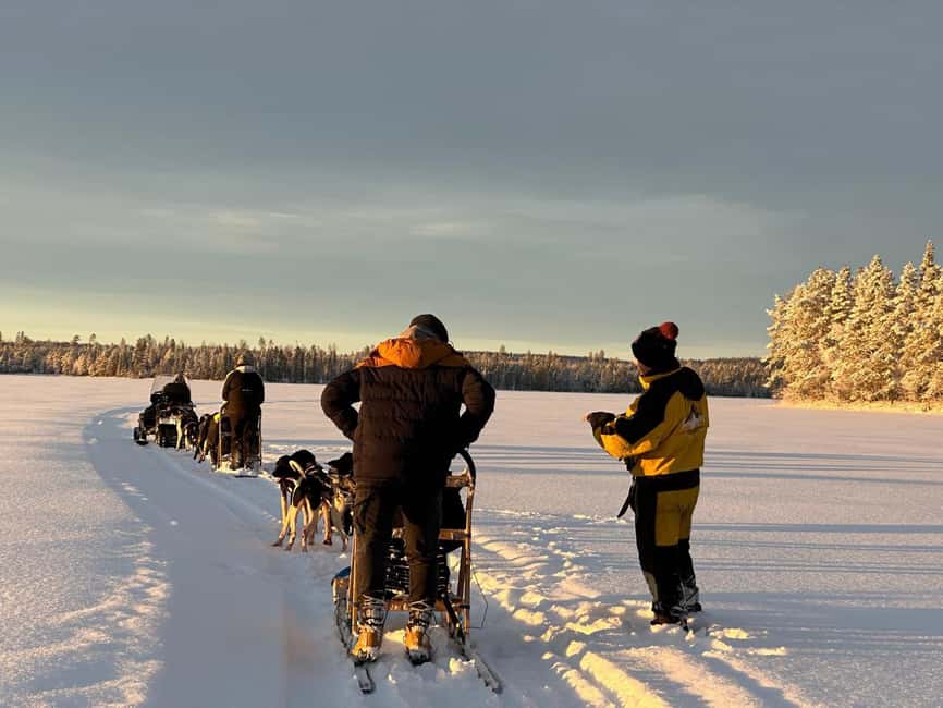 North, Dogs, Snowmobiles & Lights - A heads-up on communication and the pace of a family-run camp