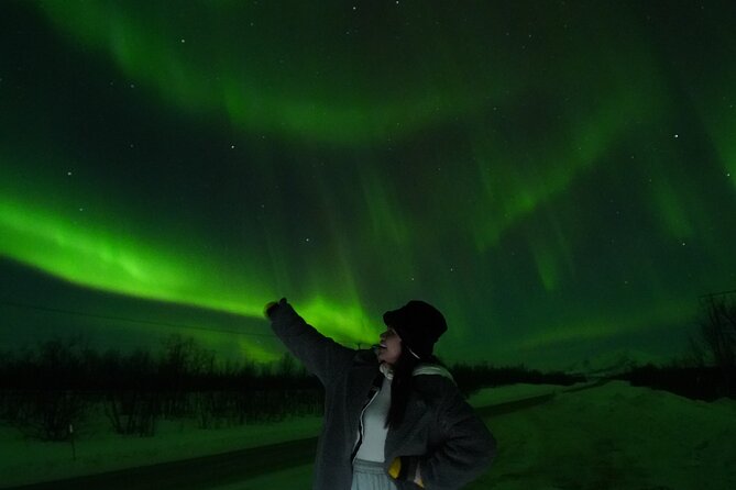 Northern Light Minibus Hunt to Abisko National Park - Aurora expectations: what to do with the no-guarantee reality