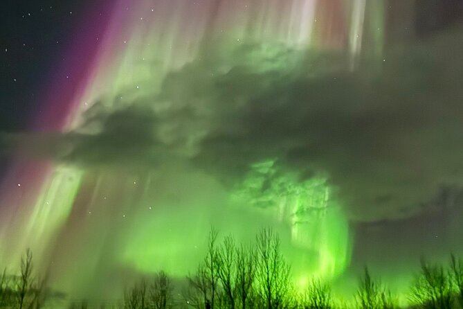 Northern Light Minibus Hunt to Abisko National Park - Photo help in the dark: how to actually get a shot