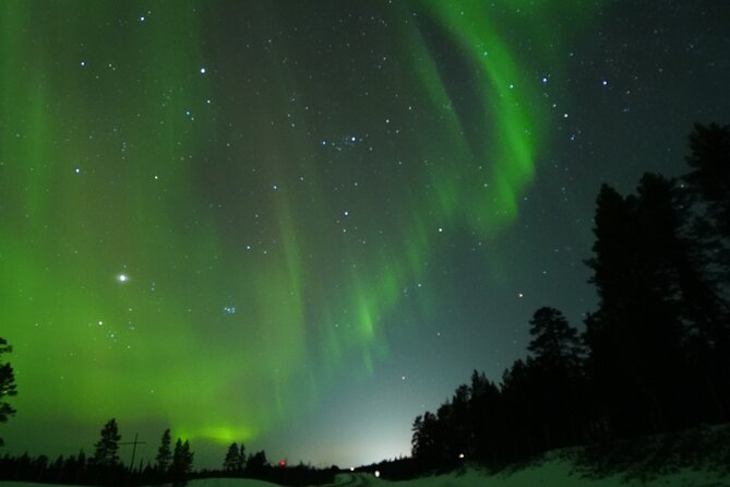 Northern Light Minibus Hunt to Abisko National Park - Price and value at about $217.71 per person