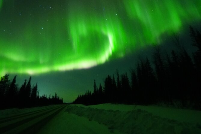Northern Light Minibus Hunt to Abisko National Park - Who should book this Abisko aurora minibus tour
